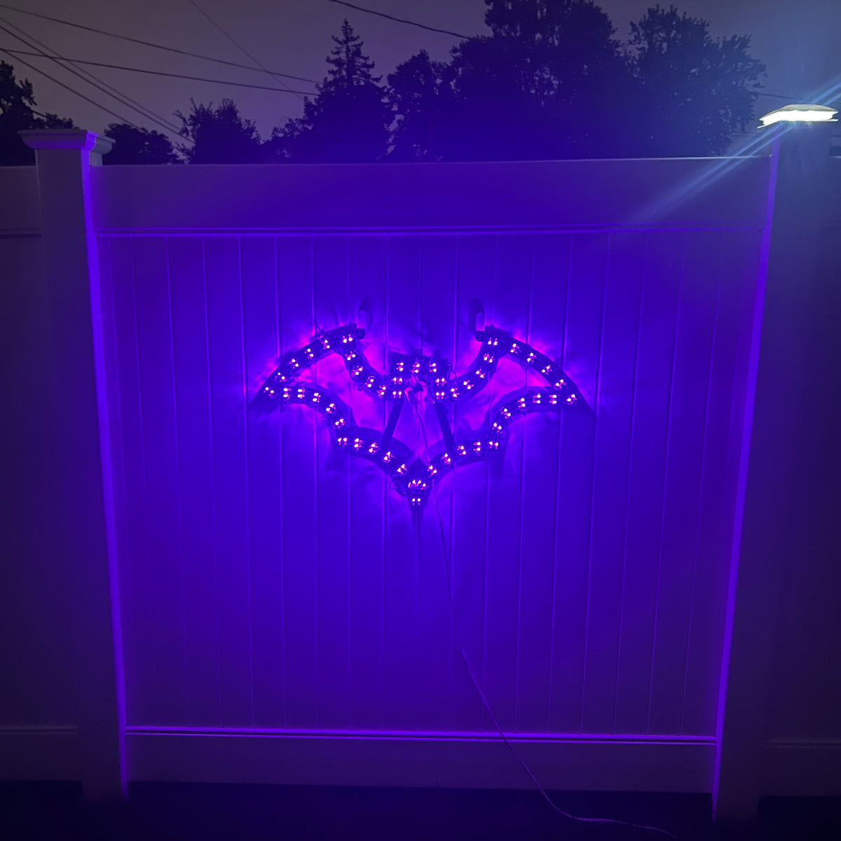 LED Halloween Bat Sign (Purple/Orange)